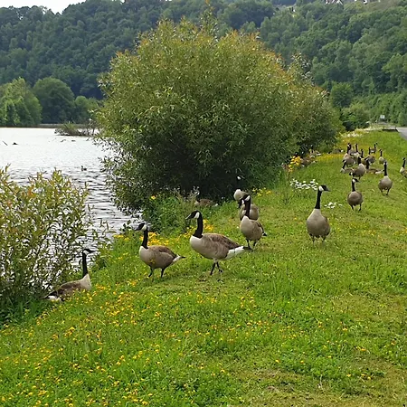 Glühwürmchen Сasa de vacaciones