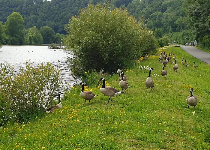 Glühwürmchen Ferienhaus